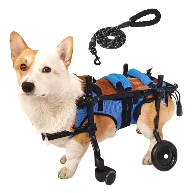 S1358ce23ea2f4598b365a1ded4789e5fq