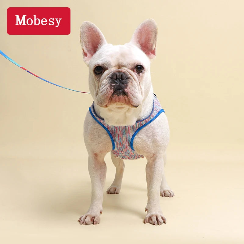 Sf811ce6846574cb2b9f9d6b896c504b0Z