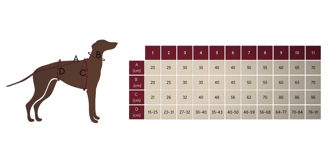 Water-repellent Dog Trench Coat - Burgundy Red