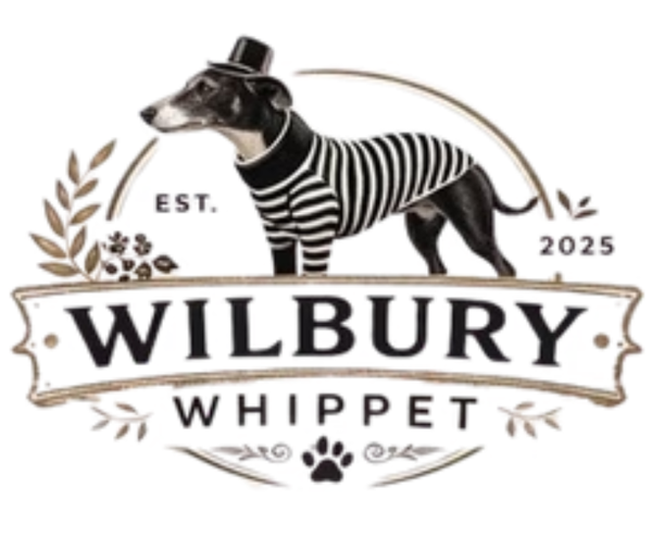 Wilbury Whippet