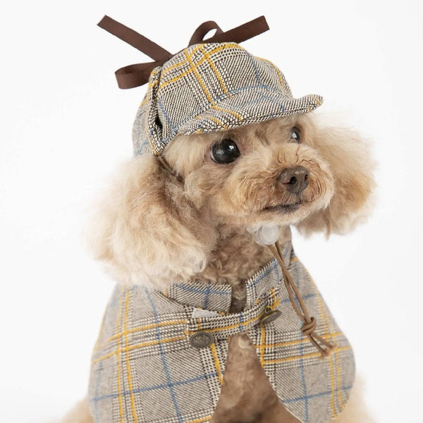 Small dog wearing a cute detective outfit with cloak and hat, perfect for pets under 4kg