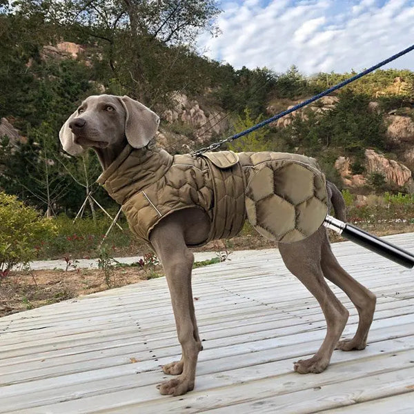 Thickened warm dog clothes for outdoor comfort and style