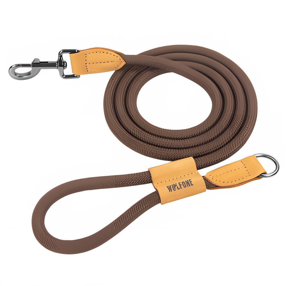 250b8aa2-e3a7-4ea1-86a1-df05aa37552c