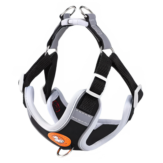 4be91778-2ee3-4dd9-b169-ceb60d06b31a