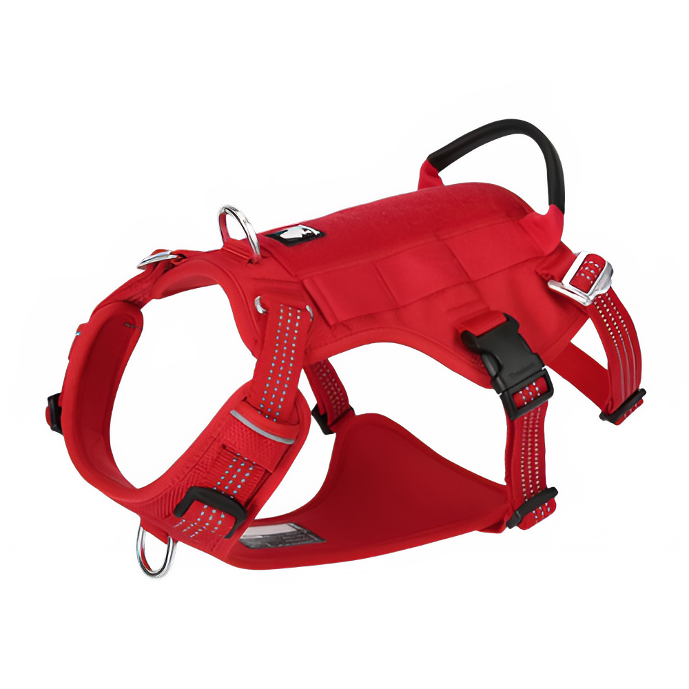 57a566aa-cdce-43c0-a954-69f612f75983