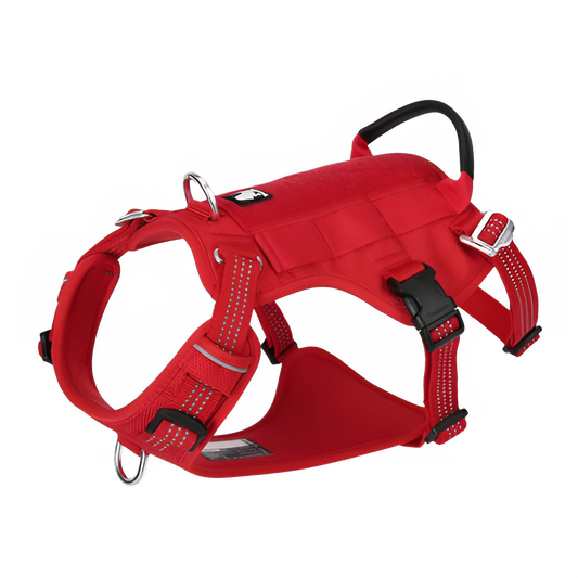 57a566aa-cdce-43c0-a954-69f612f75983