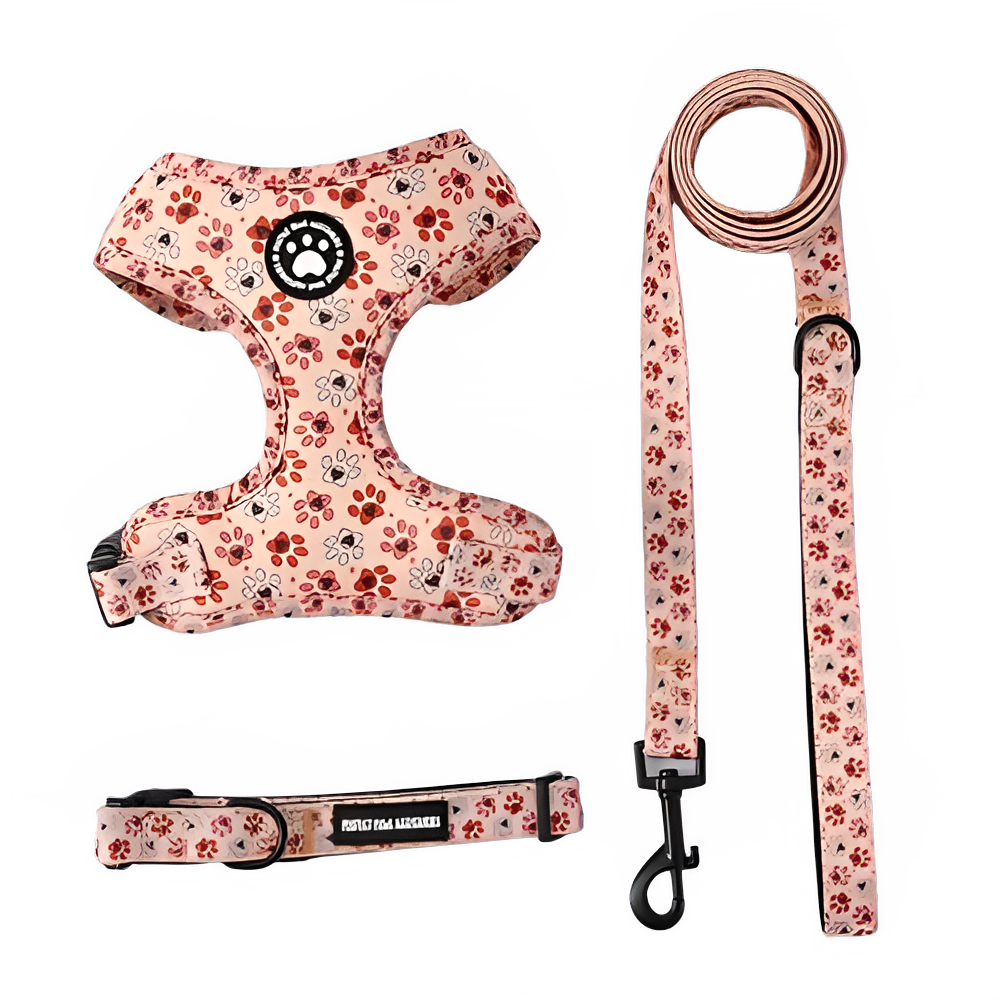 593e5557-e659-47cf-a994-440f0569b131