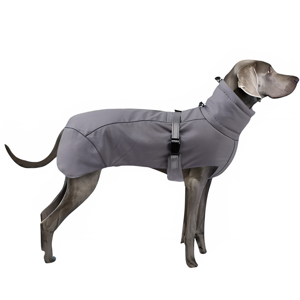 8fede497-05c3-4130-8a92-26760cdd5fd6