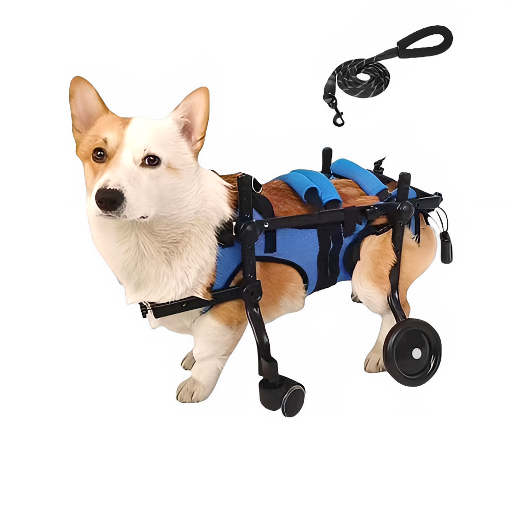 912062d4-1337-47ac-a7e7-b437e4a6b26b