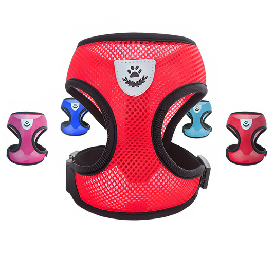 9becd9f7-b1c3-4451-b343-80f16886e131