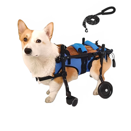 9c5a96b0-9556-4b2b-98df-31f6fcb687f4