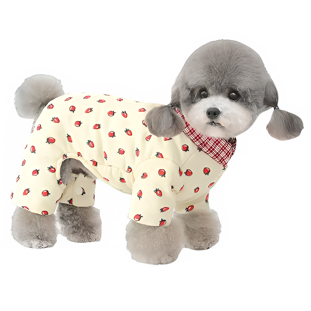 9d2ae90c-f6f4-4bc8-8754-6c589271efeb