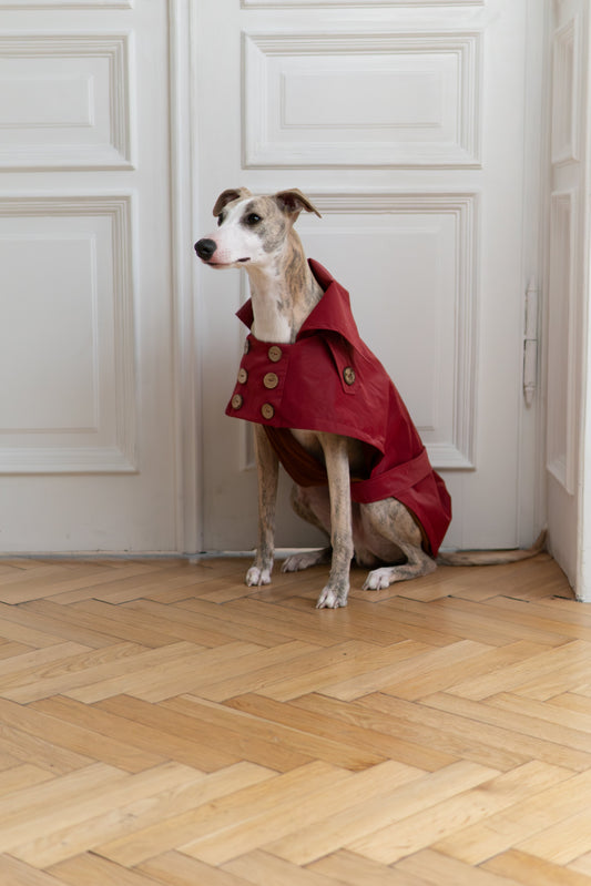 Water-repellent Dog Trench Coat - Burgundy Red-1