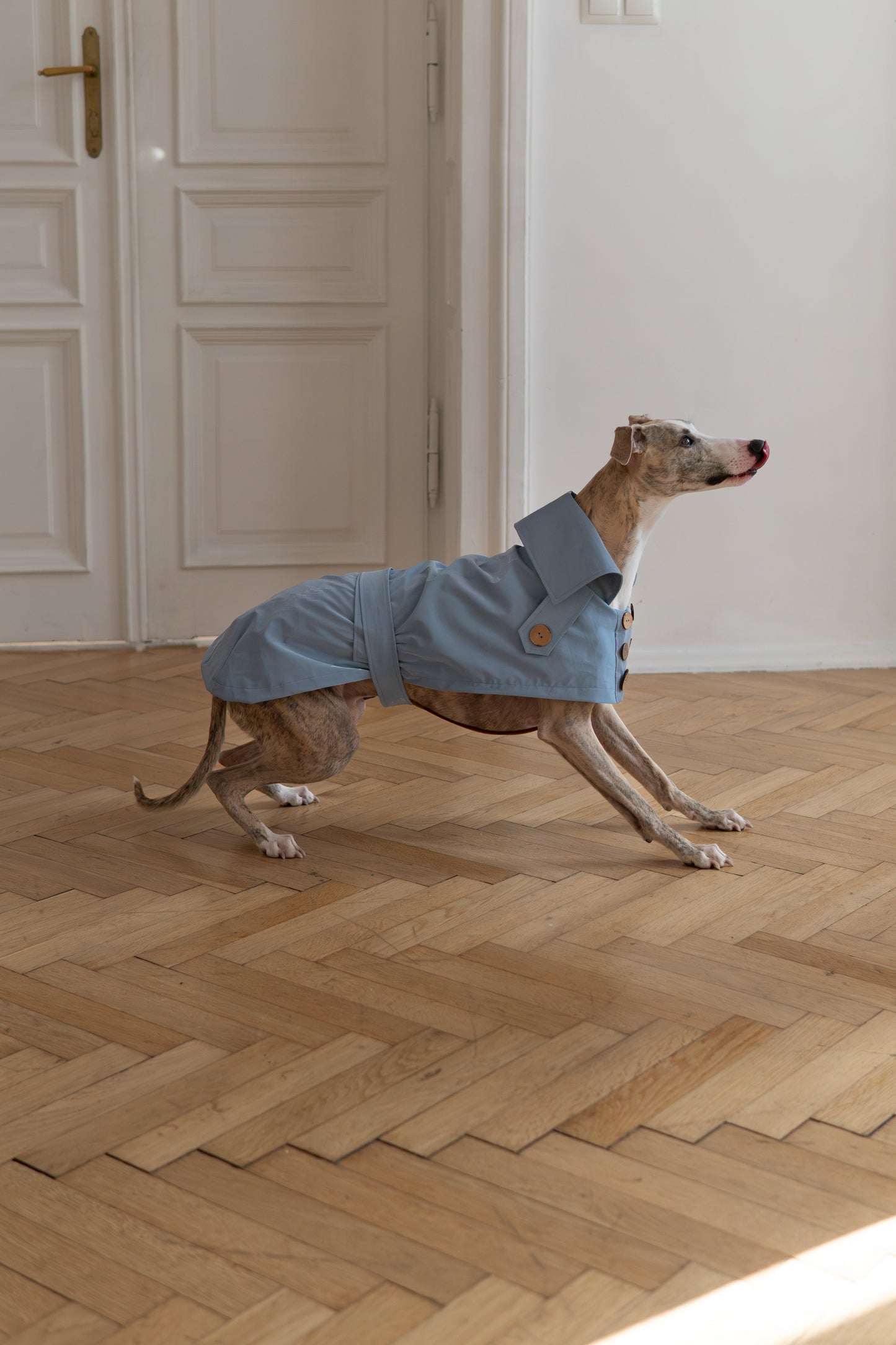 Water-repellent Dog Trench Coat - Light Blue-4