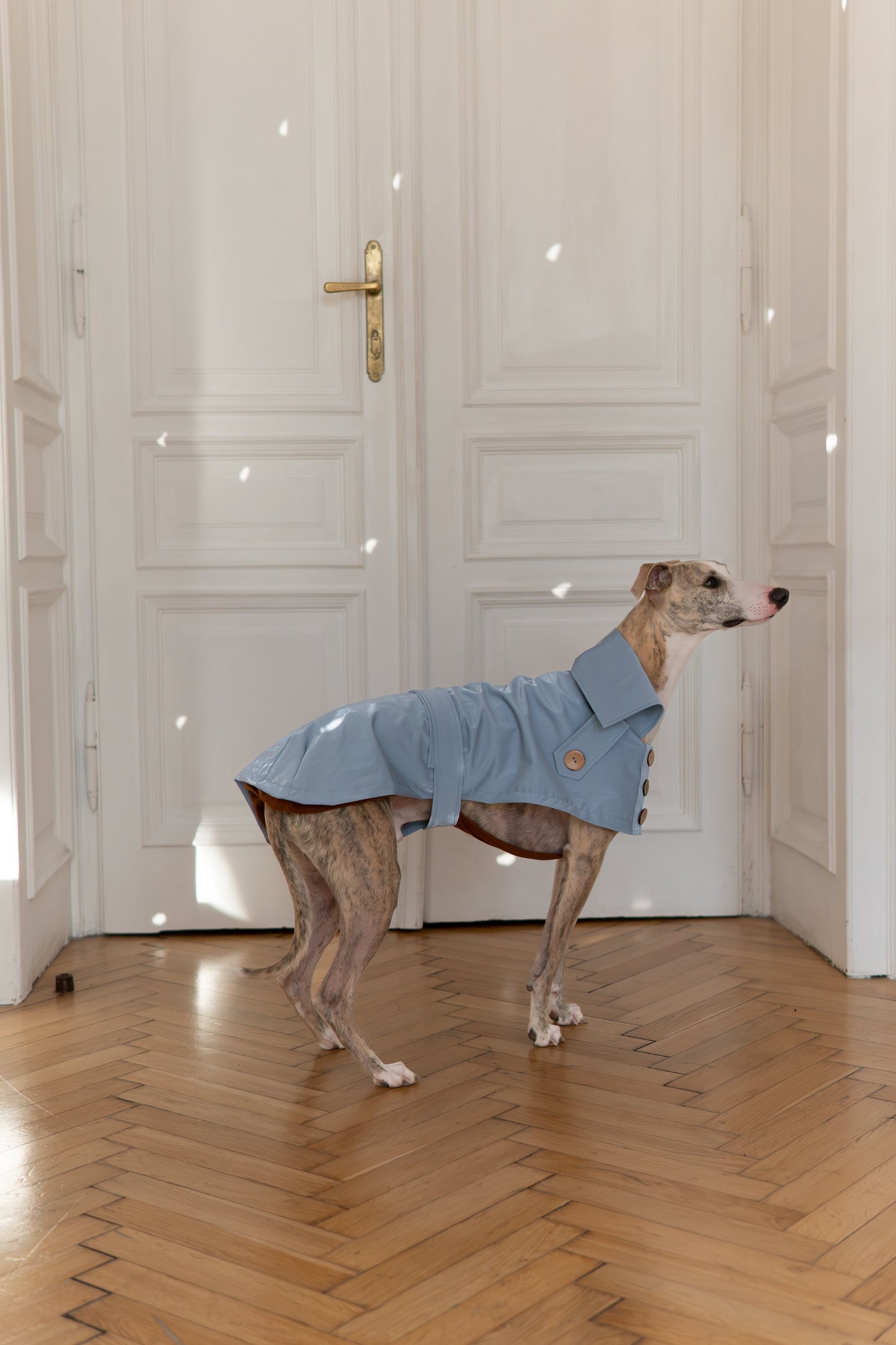 Water-repellent Dog Trench Coat - Light Blue-1