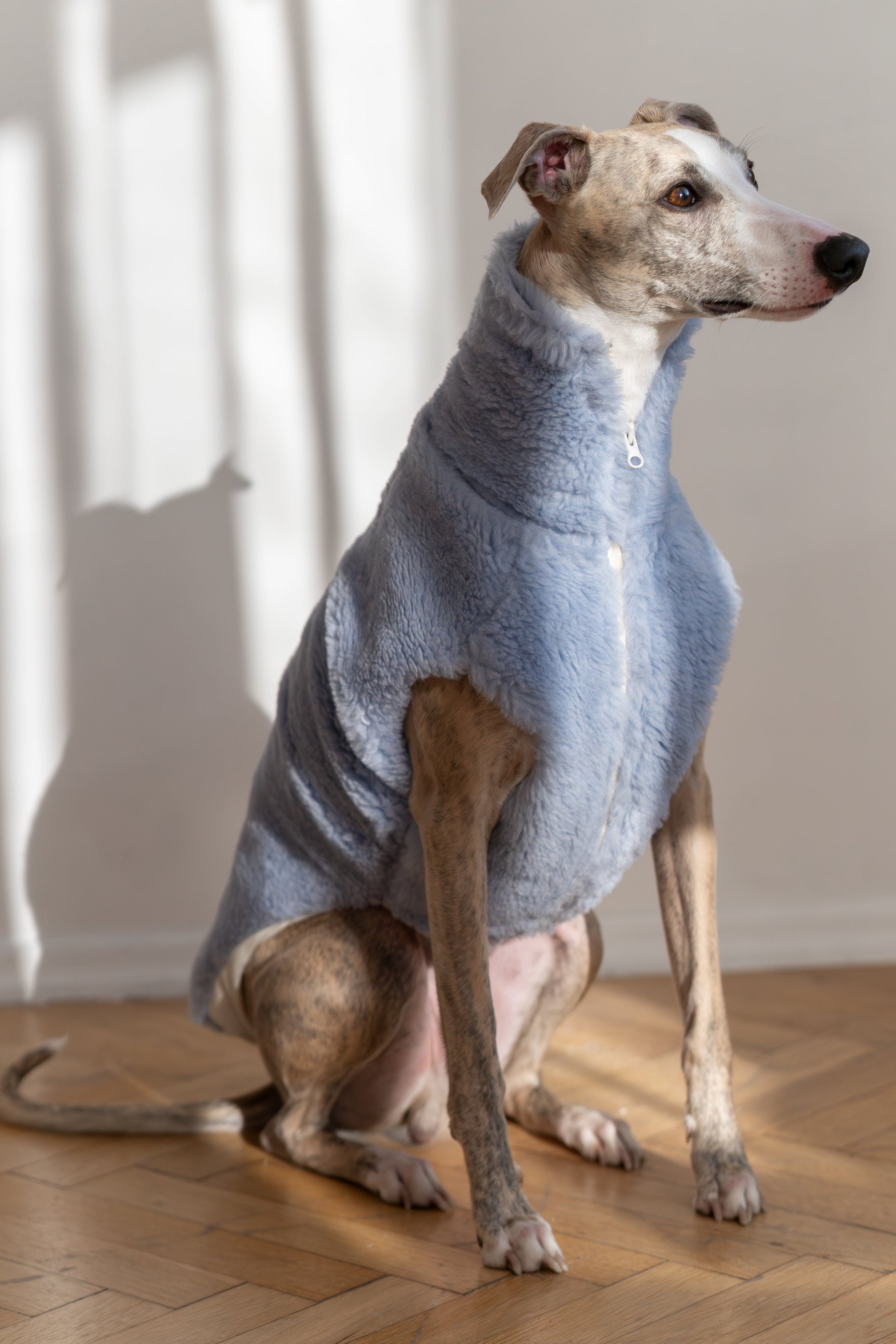 Woolen Dog Vest - Blue-0