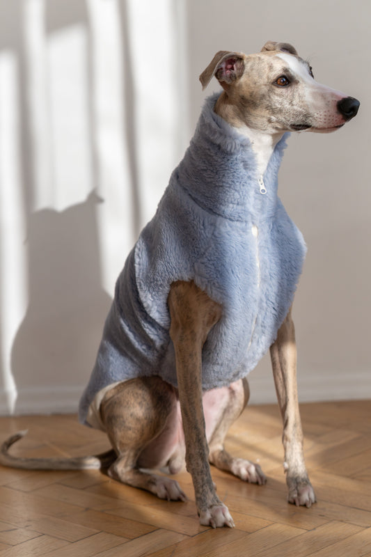 Woolen Dog Vest - Blue-0