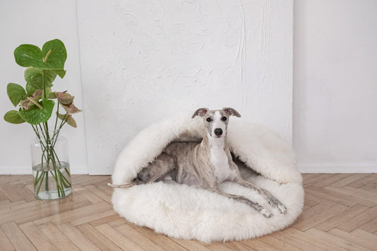 Natural Sheepskin Pet Cave - White-0