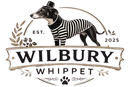 Wilbury Whippet