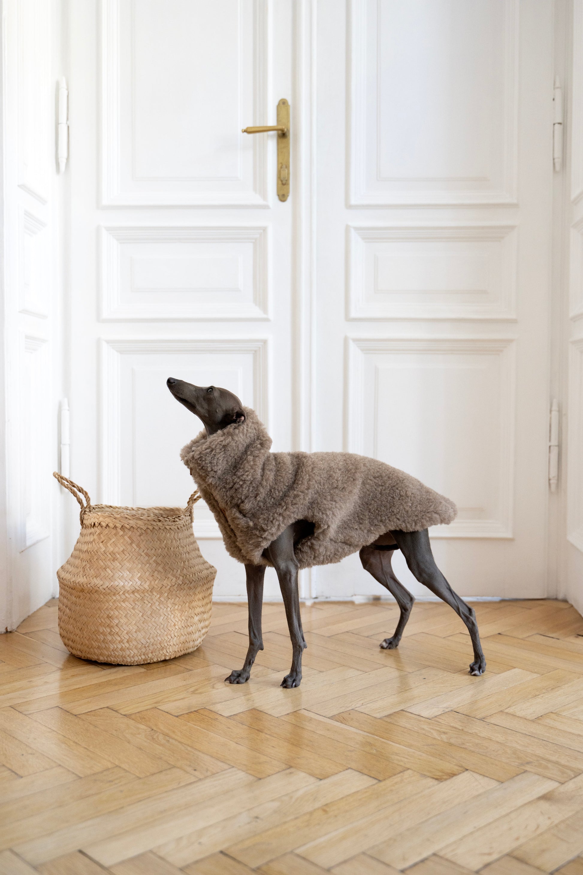 Woolen Dog Vest - Beige-2