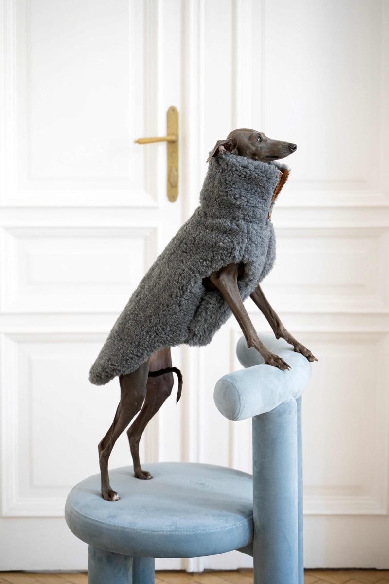 Woolen Dog Vest - Dark Grey-0