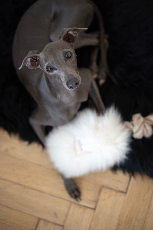 Natural Sheepskin Dog Tug Toy - White-0