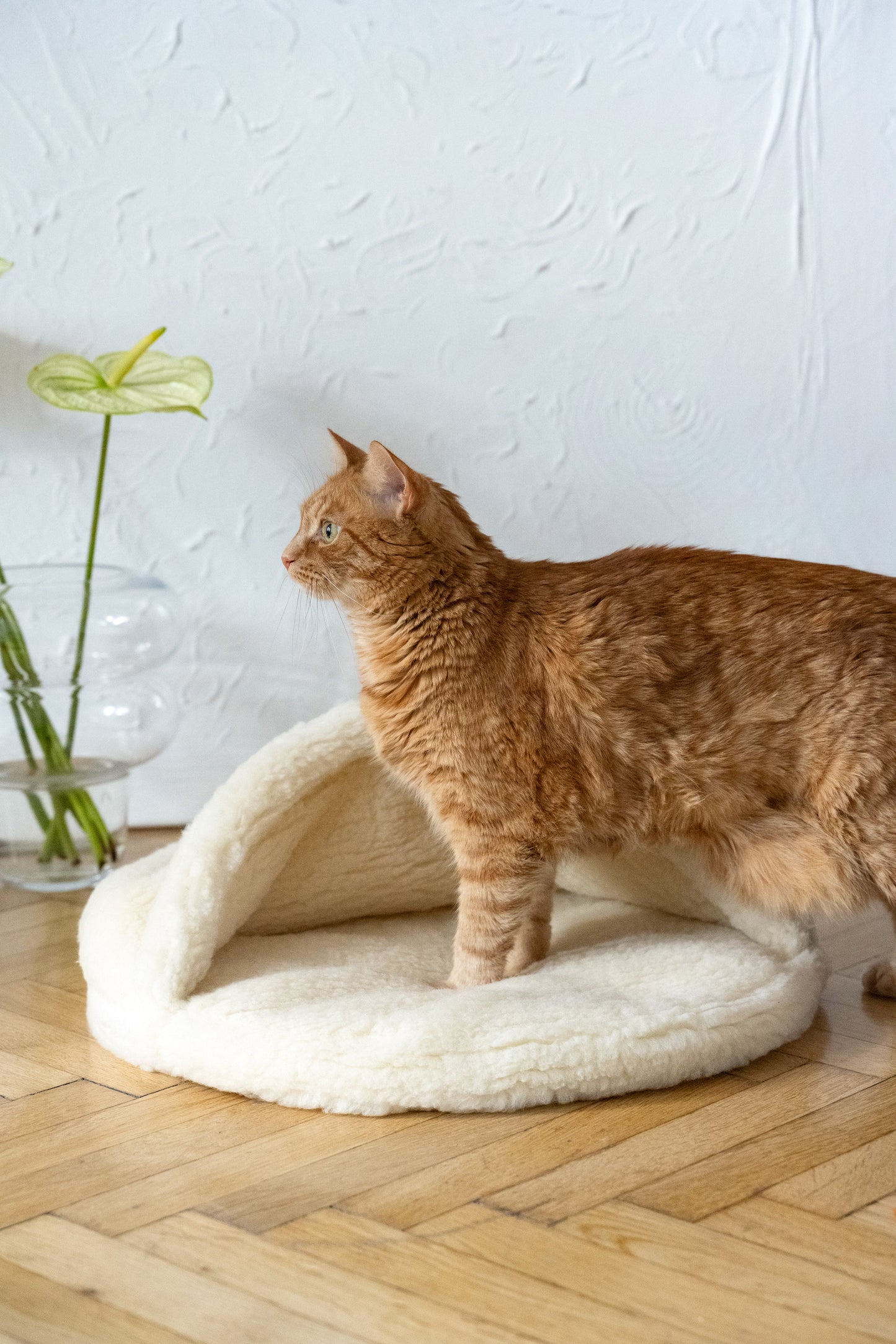 Natural Wool Pet Cave - White-2