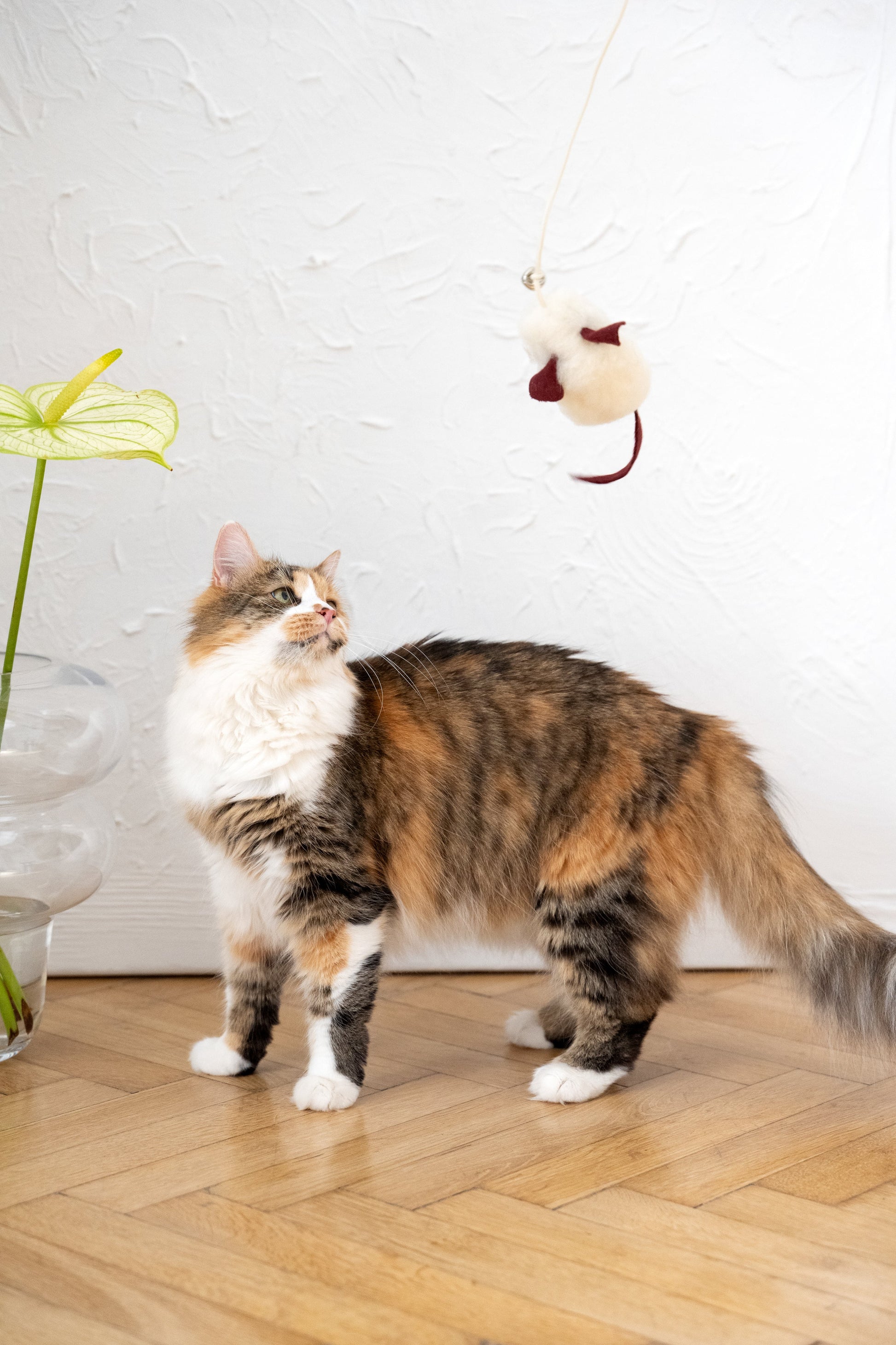 Natural Woolen Cat Toy: Mouse-4