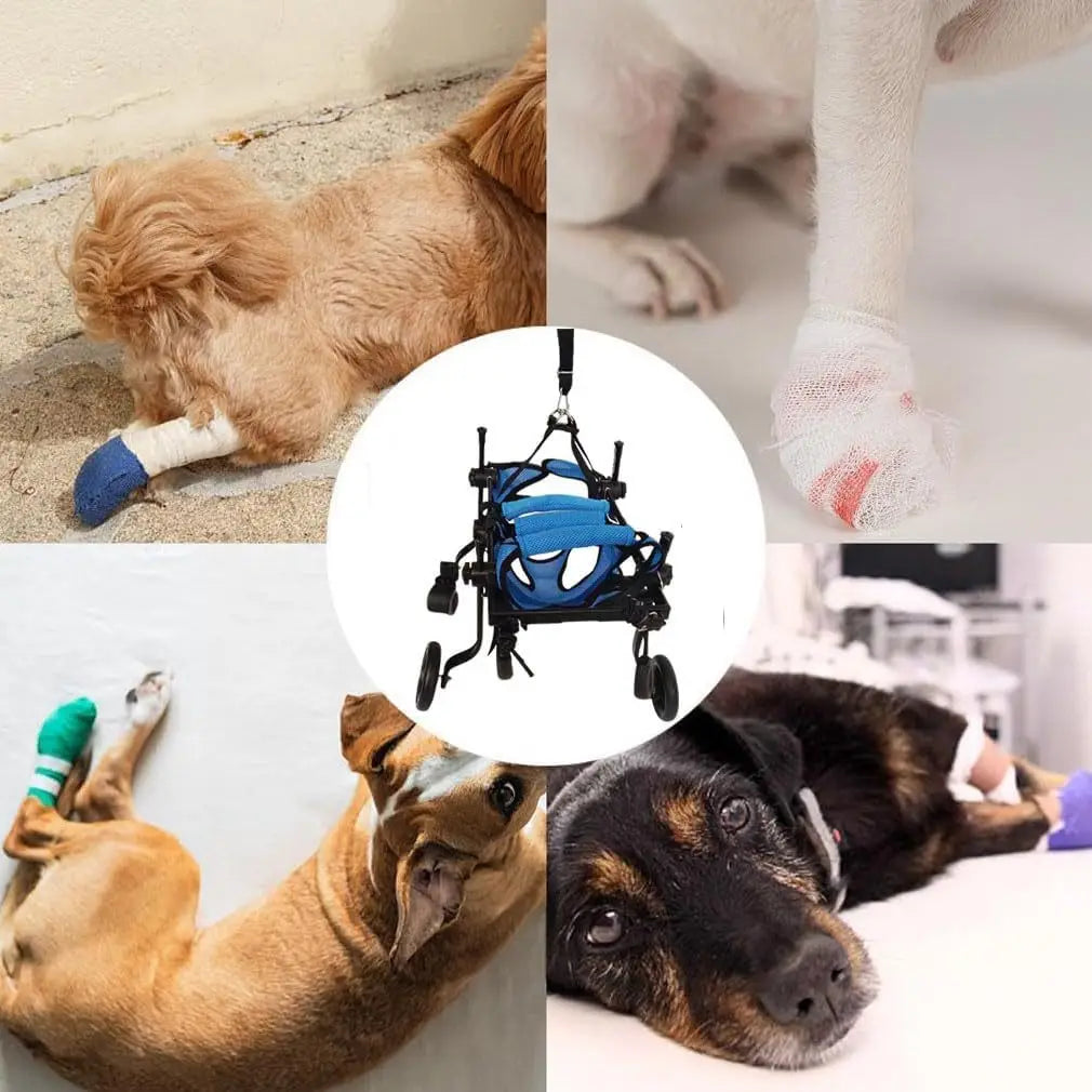 S113210d20fbb40448644b4e90eff77527