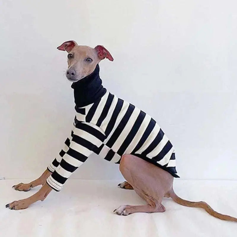 Striped jersey dog sweater for Whippets and Italian Greyhounds, soft stretch fabric, black and white design