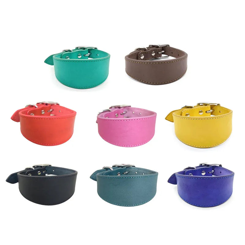 S1db652ffddf247718701d3e4920c23c4A