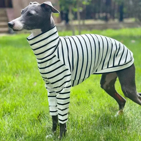 Dog Clothing Italian Greyhound – Stylish Red Jacket