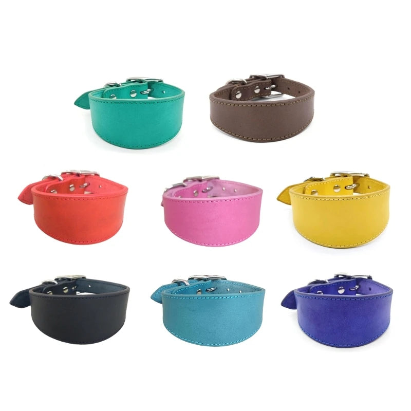 S2f8486a63a4c4657a0d63ffd1c6fa565y