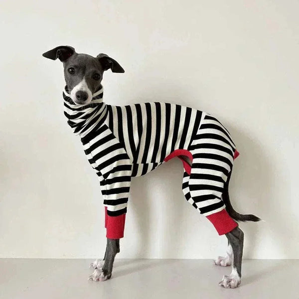 Clothing for Dogs – Stylish Dog Apparel & Pet Outfits