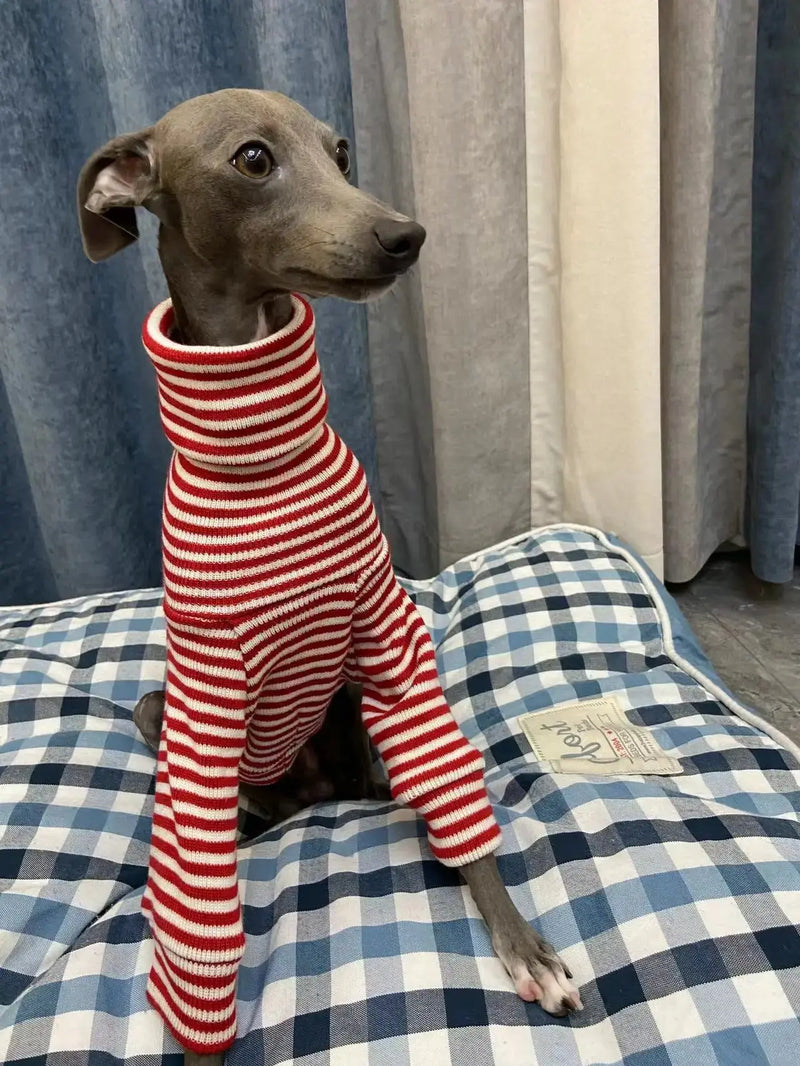 Italian Greyhound Red Striped Sweater Whippet Turtleneck Coat Stretch.