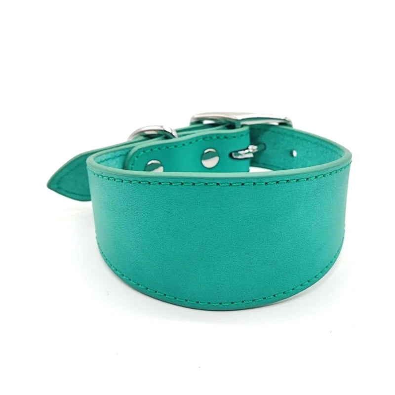 S82ad21cb90dc46329a663a3f03599760U