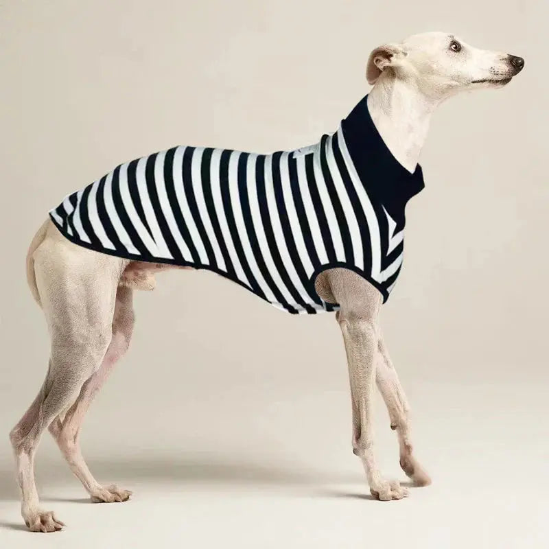 Italian Greyhounds Breathable Summer Vest for Italian Greyhounds sunny