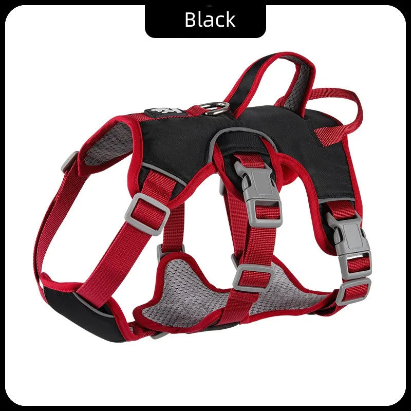 S96fd7f2e60e34cf1b2e3767f2221b81b9