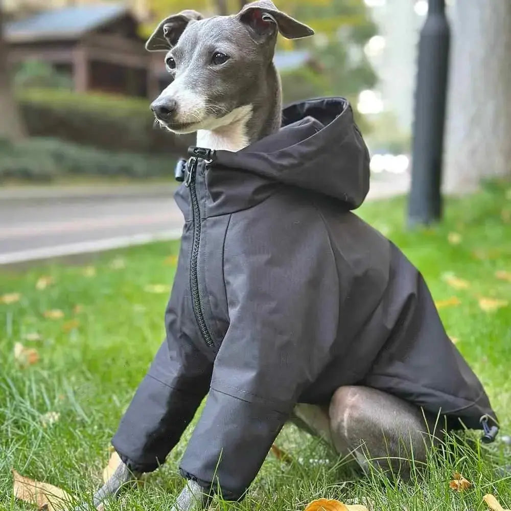 Black Windproof Waterproof Winter Jacket for Greyhound Velvet Fleece Zippered Hooded Sweatshirt Soft Warm for Dog Raincoat Wilbury Whippet Black Windproof Waterproof Winter Jacket for Greyhound Velvet Fleece Zippered Hooded Sweatshirt Soft Warm for Dog Raincoat Dog Coat