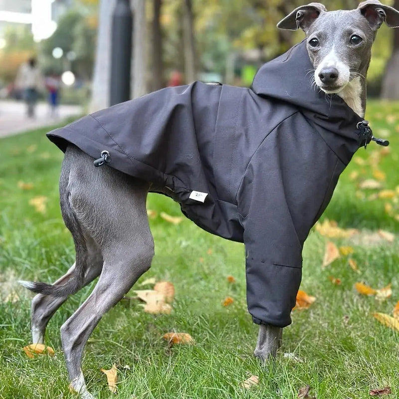 Black Windproof Waterproof Winter Jacket for Greyhound Velvet Fleece Zippered Hooded Sweatshirt Soft Warm for Dog Raincoat Wilbury Whippet Black Windproof Waterproof Winter Jacket for Greyhound Velvet Fleece Zippered Hooded Sweatshirt Soft Warm for Dog Raincoat Dog Coat