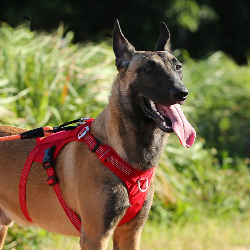 Sd052365832ac434eabe5b0b3c9a7deb0o