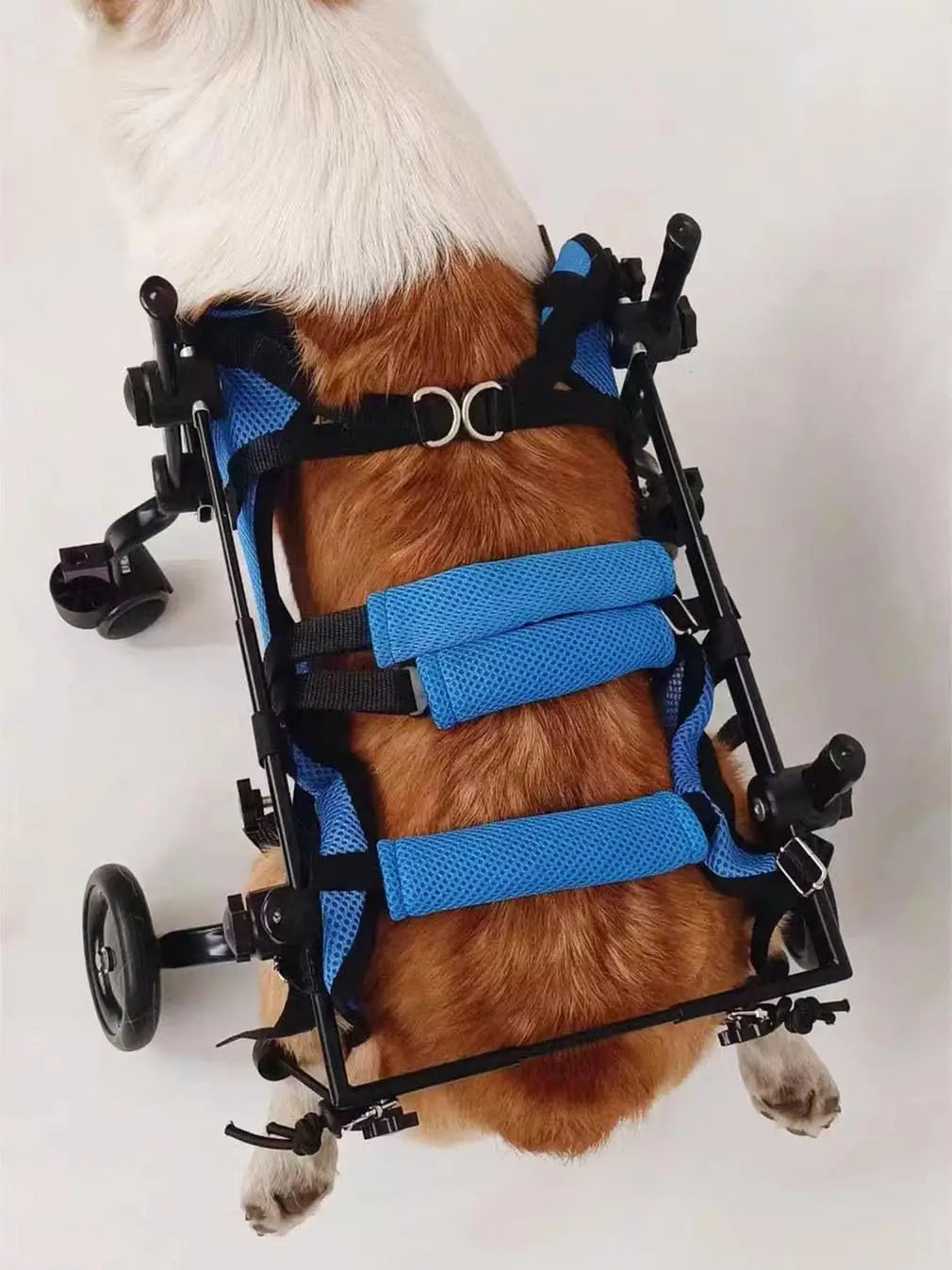 Sf4c38598776747d1b020b001edb766fc2