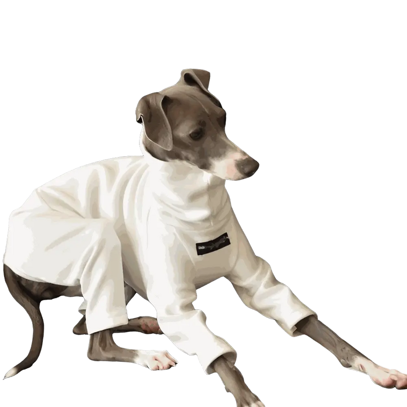 Soft and breathable cotton pajamas for comfortable year-round sleepwear and lounging