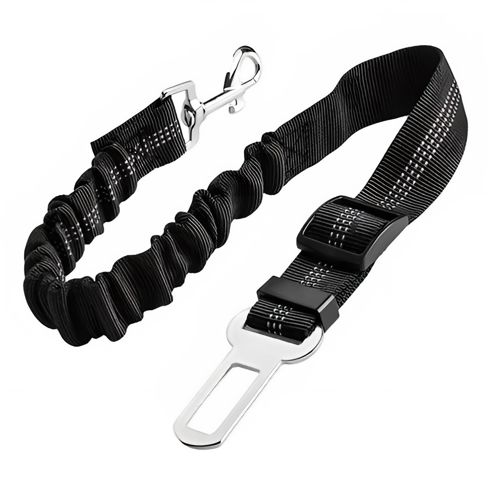 adea7ba6-6d92-46ef-af88-d285a8b6f133