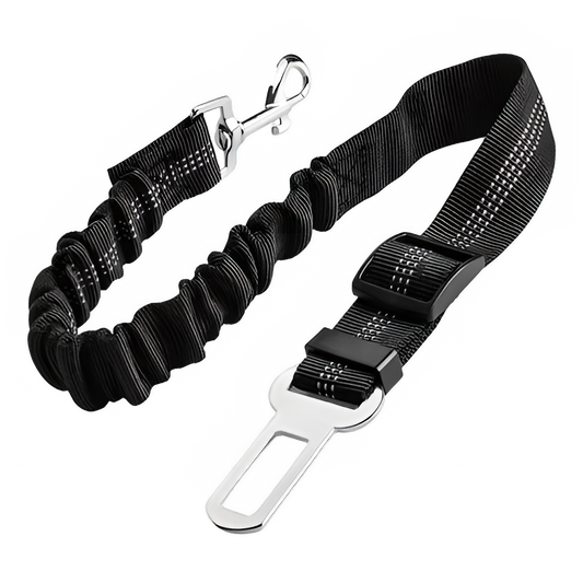 adea7ba6-6d92-46ef-af88-d285a8b6f133