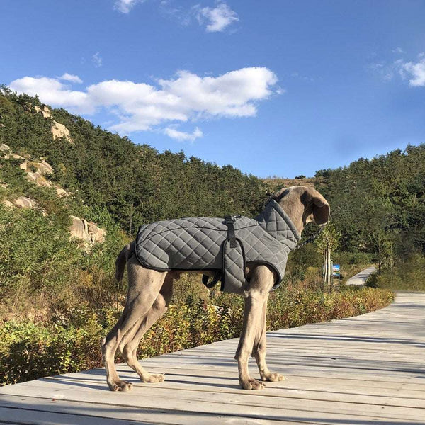 Full-body reflective tactical jacket made of polyester for dogs pet clothing