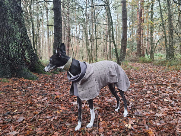 pet clothing British style - Warm Dog Coat English Plaid