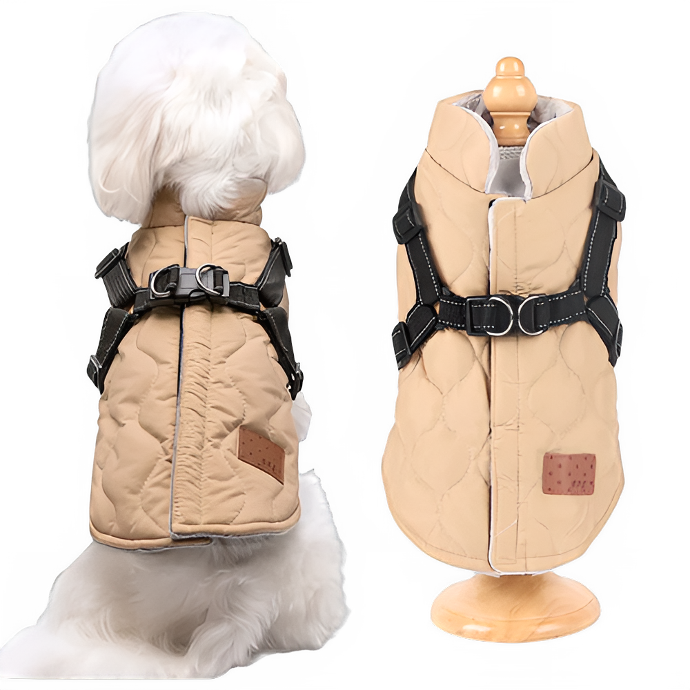 c86d869a-0942-4fc4-ab18-c3c7f39aa7b5