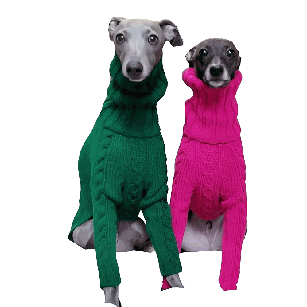 Winter Clothing Turtleneck Twist Knitted Sweaters for Dog and Italian.