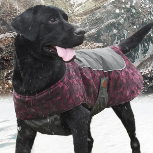 Stylish and comfortable dog clothes for small to large breeds, perfect for warmth and outdoor activities